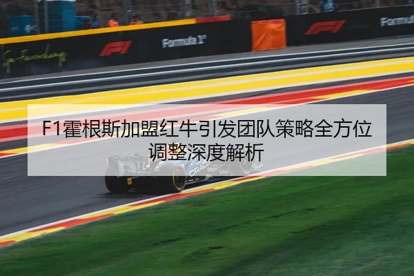 F1霍根斯加盟红牛引发团队策略全方位调整深度解析 - TIANBO SPORTS